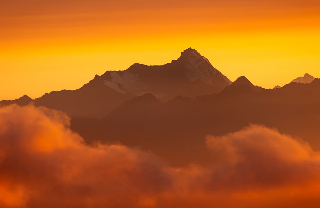 https://img2.utuku.imgcdc.com/650x0/news/20250905/2b333edd-ba7a-45ad-919c-06f7815ed473.jpg